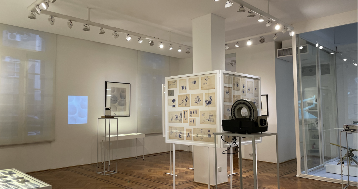 Constancy of the specie